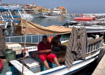 Israel’s aggression against Lebanon paralyzes the fishing profession Economy