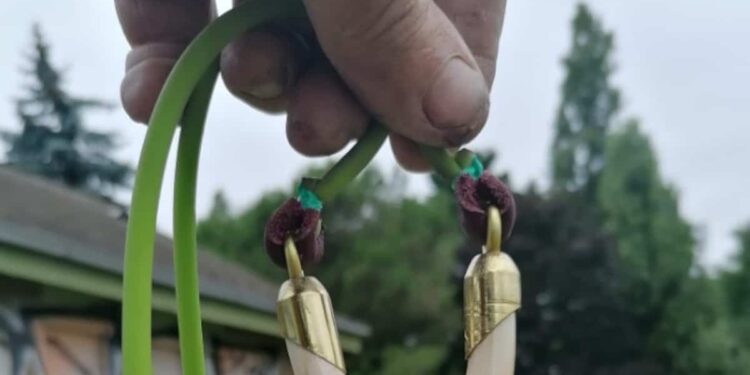 Octogenarian arrested after terrorizing his neighborhood with a slingshot