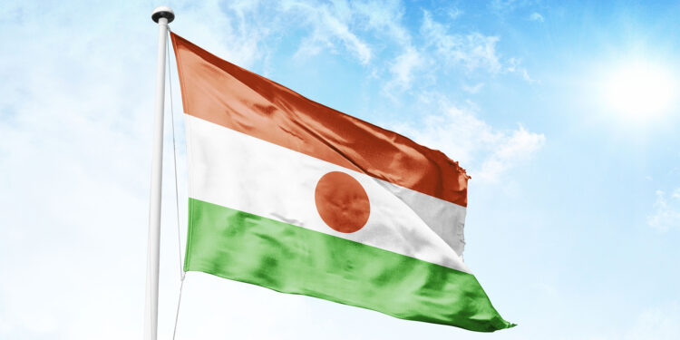 Policy obstacles prevent Niger from becoming an oil power  Economy