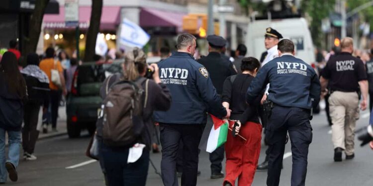 Pro-Palestinian protest: demonstration near the Met Gala in New York