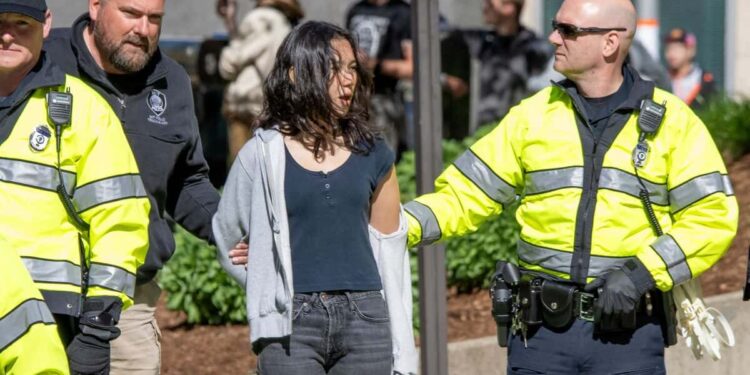 Pro-Palestinian protesters arrested on two other US campuses