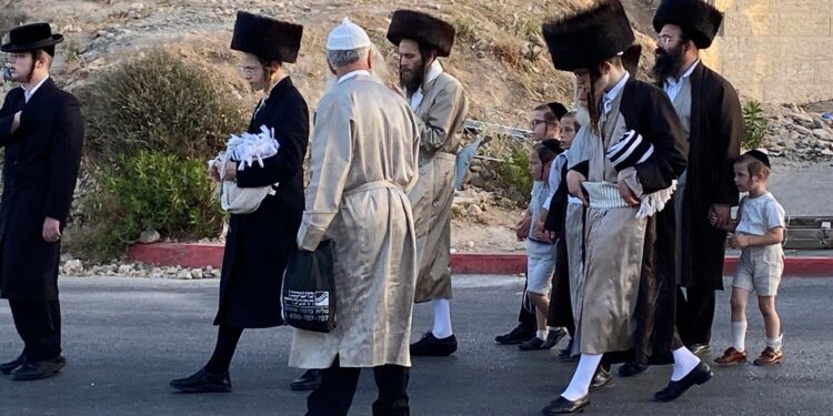 Senior economists in Israel warn of the threat to the economy from the ultra-Orthodox Jews  Economy News