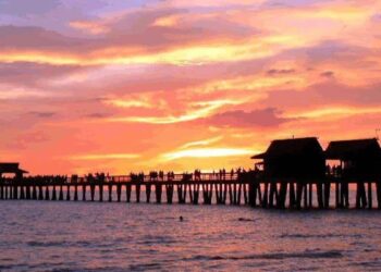 She has sex in public and jumps into the water to escape the police