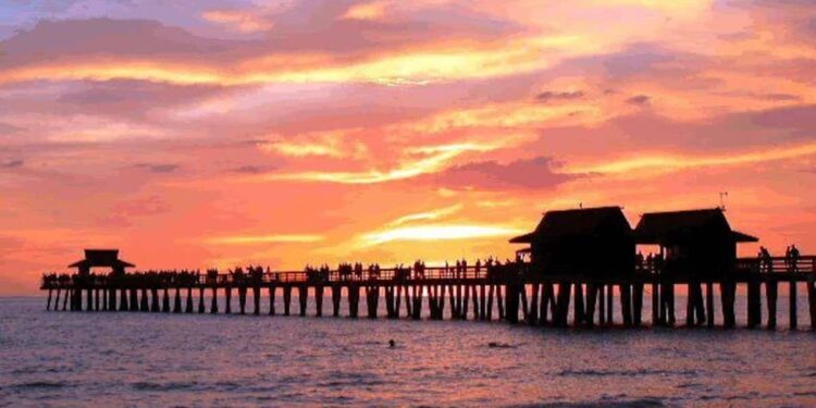 She has sex in public and jumps into the water to escape the police