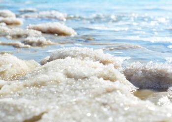 The 10 largest salt producing, exporting and importing countries in the world, including an Arab country  Economy