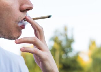 United States: Marijuana will be reevaluated as less dangerous