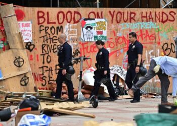 United States: Pro-Palestinian students seek new lease of life after mass arrests