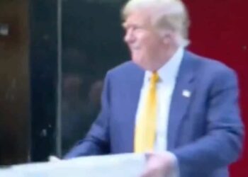 VIDEO |  Donald Trump delivers pizza after a day in court