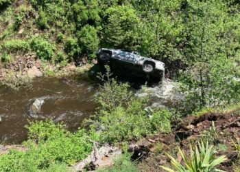A dog travels miles to save his owner who fell into a ravine with his truck