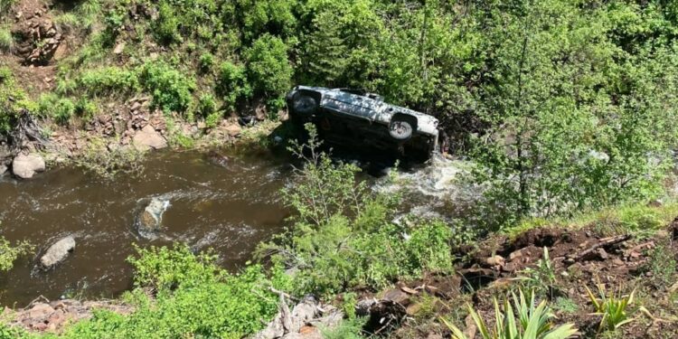 A dog travels miles to save his owner who fell into a ravine with his truck