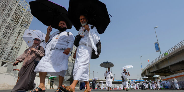After the death of hundreds of pilgrims, Egypt withdraws the licenses of 16 tourism companies on charges of fraud  Economy News