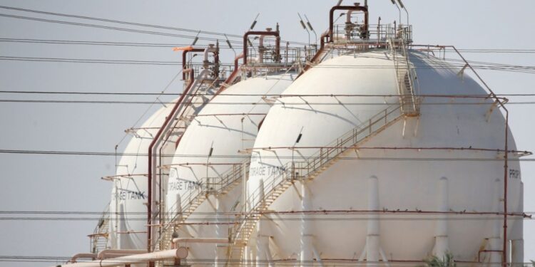 Amid increased consumption…fertilizer factories in Egypt temporarily stop working  Economy