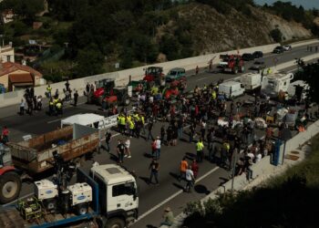 Before the European elections… Why do farmers cross the border between France and Spain?  |  Economy