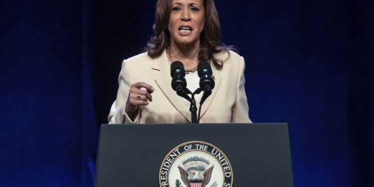 Democrats blame Trump two years after Roe v. Wade»