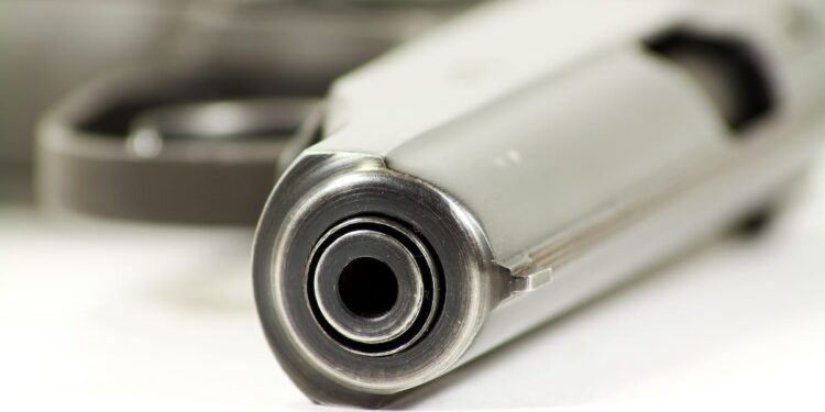 Disarmament of people guilty of domestic violence is authorized in the United States