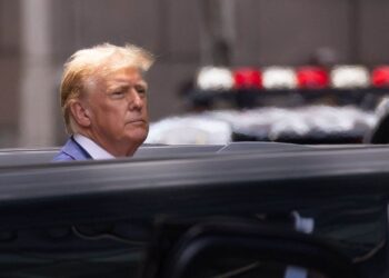 Donald Trump may be elected on November 5, but millions of other convicts will not be able to vote in the US elections