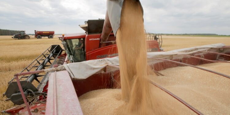 FAO: The global food price index rose for the third month in May  Economy