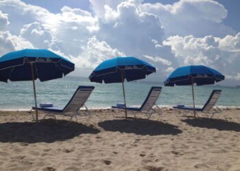 Florida: vigilance after shark attacks