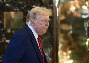 Georgia State Court of Appeals Stays Criminal Proceedings Against Donald Trump