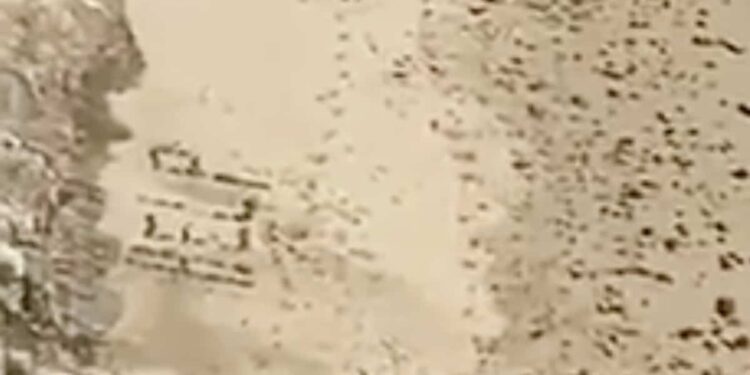 “HELP”: stuck on a beach, he calls for help with rocks