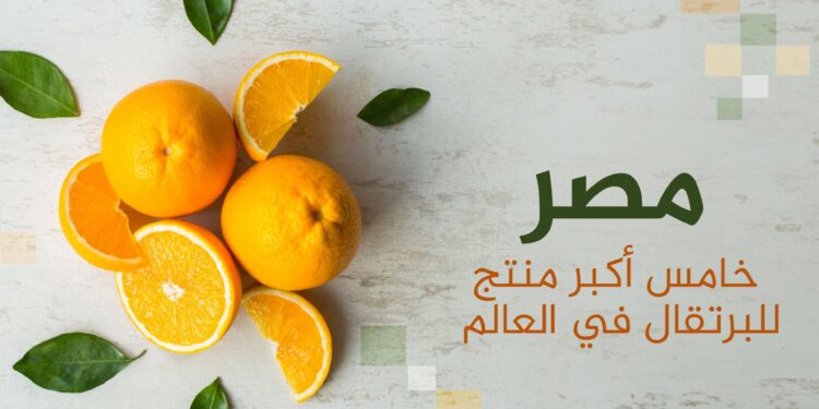 Including Egypt and Saudi Arabia…the top 10 orange producing and importing countries in the world  Economy