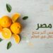 Including Egypt and Saudi Arabia…the top 10 orange producing and importing countries in the world  Economy