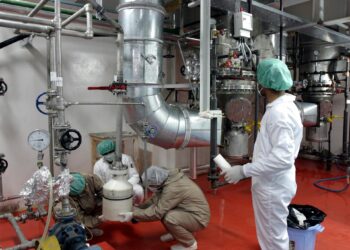 Iran is ranked 30th in the world in nuclear electricity production  Economy