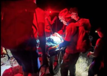 Paralyzing bite: a hiker injured in the mountains with her discharged cell phone saved at the last minute