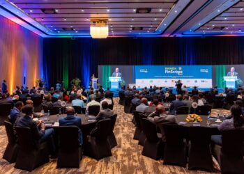 Rwanda.. 96% of adults use payment services and sending money by phone  News