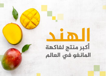 The 10 largest countries producing and exporting mango fruit…and Egypt is first in the Arab world  Economy