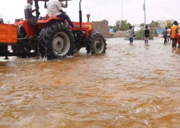 The Somali economy…achievements in the face of severe difficulties  Economy