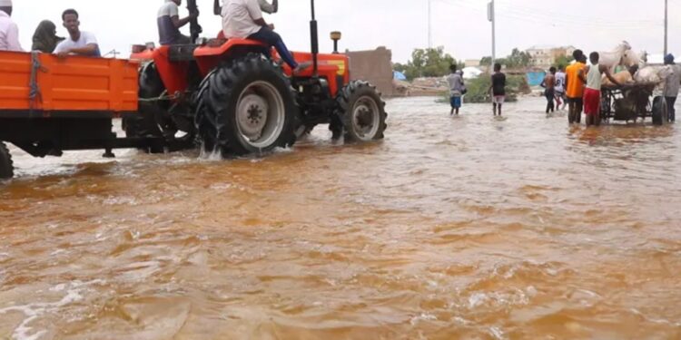 The Somali economy…achievements in the face of severe difficulties  Economy