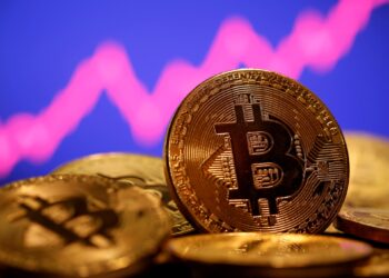The cryptocurrency market is rebounding due to the rise of Bitcoin, forgetting the previous collapses  Economy