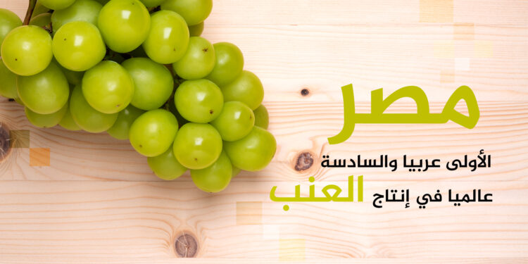The top 10 countries producing table grapes in the world.. Egypt is among them  Economy