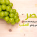 The top 10 countries producing table grapes in the world.. Egypt is among them  Economy