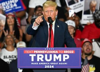 These people could be Donald Trump’s next vice president