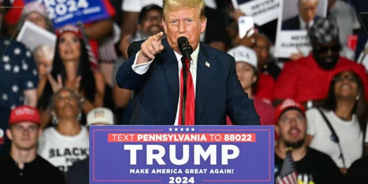 These people could be Donald Trump’s next vice president