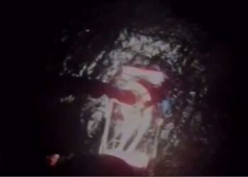 VIDEO |  A family at sea survives by clinging to a cooler