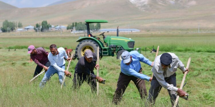Concerns over future of Türkiye’s agricultural sector due to labour shortage | Economy