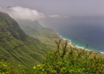 Dhofar Autumn.. A green spot with a foggy atmosphere that attracts lovers of tranquility | Economy