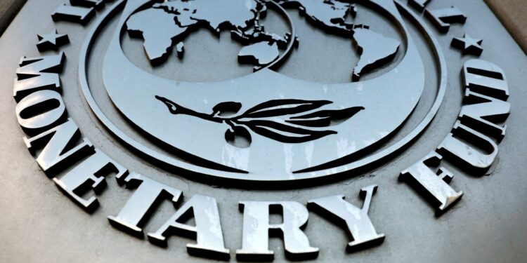 Including Egypt.. IMF considers reviewing additional fees for countries burdened with debt | Economy