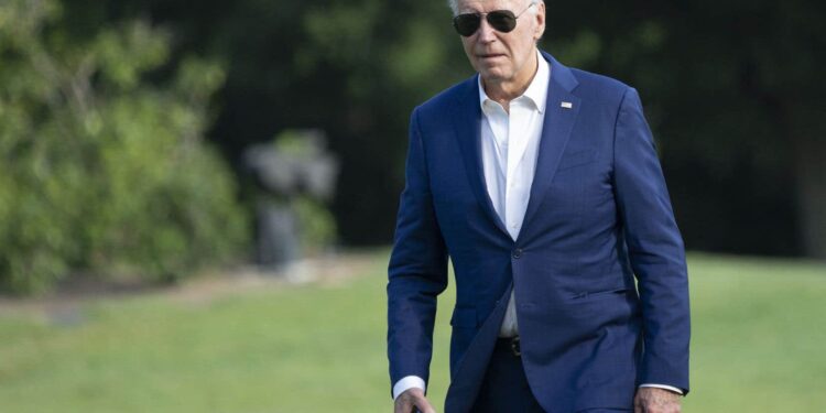 Joe Biden counts his supporters in the Democratic camp despite doubts about his energy and stamina