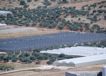 Palestinians on the way to giving up work in Israel.. How? | Economy