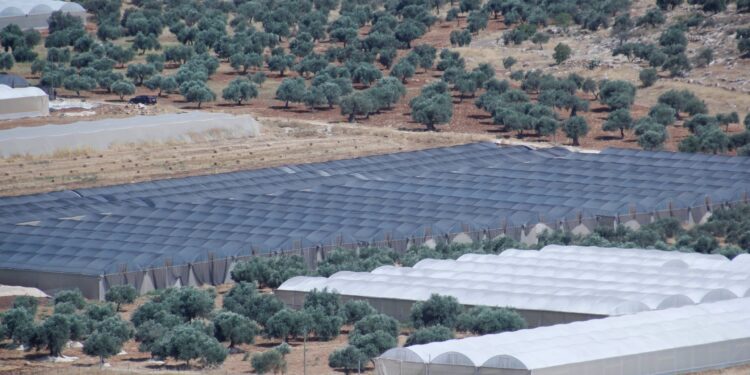 Palestinians on the way to giving up work in Israel.. How? | Economy