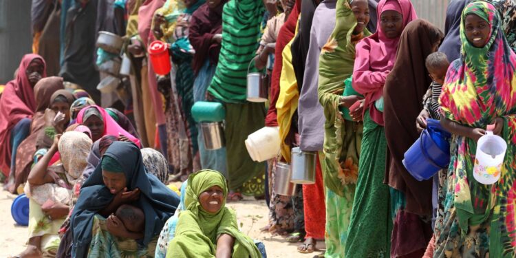 Somalia launches prepaid cards to aid humanitarian efforts | Economy