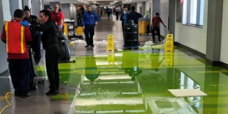 Strange leak: Neon green liquid leaks from ceiling at Miami airport