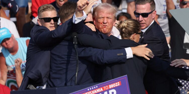 Tesla and Arms Companies Profit from Trump Assassination Attempt | Economy