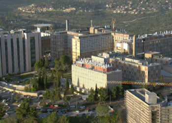 The war on Gaza increases the Israeli budget deficit.. What are its repercussions? | Economy