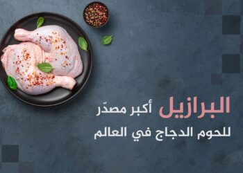 Top 10 Chicken Meat Producing and Exporting Countries in the World | Economy