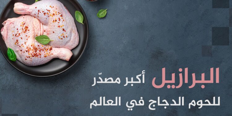 Top 10 Chicken Meat Producing and Exporting Countries in the World | Economy